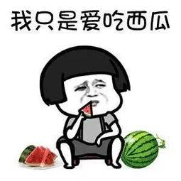 吃瓜看娱乐人,解码娱乐圈众生相